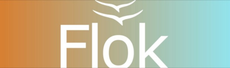 Flok 22 Horizontal Logo